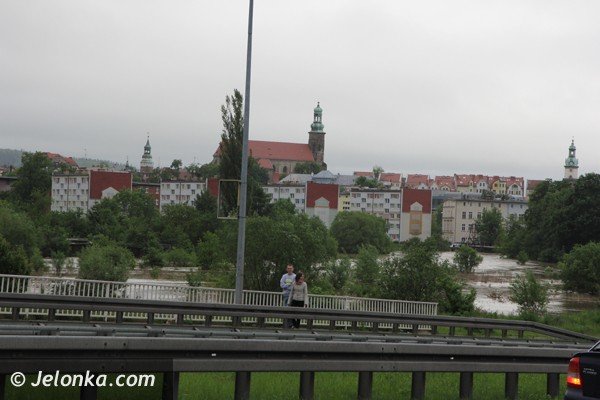 bobr-zala-droge-przy-estakadzie-obok-tesco-i-kilka-drog-w-powiecie-foto-46800