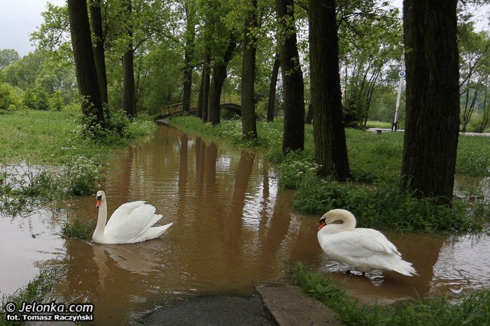 wody-w-jeleniej-gorze-opadaja-gorzej-jest-w-powiecie-foto-46811