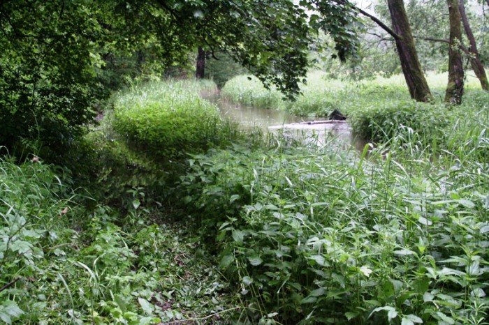 dabrowka-okradziona-zodzieje-nie-mieli-sumienia-foto-46823