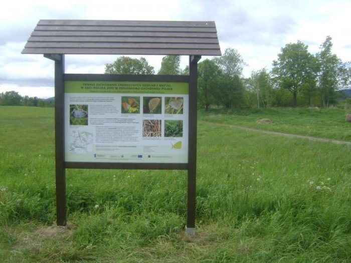 czytelniczka-tak-dbamy-o-lasy-foto-46829