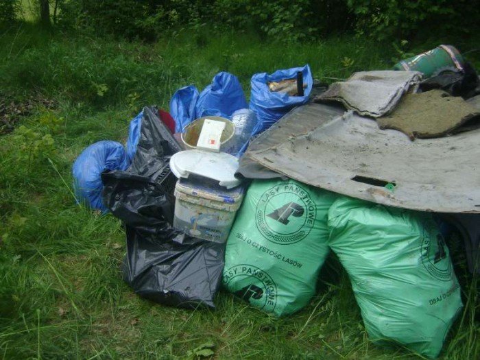 czytelniczka-tak-dbamy-o-lasy-foto-46829