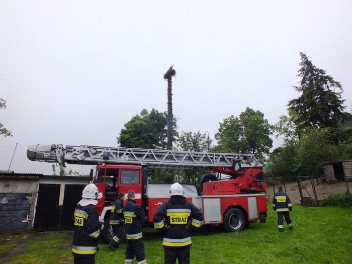 strazacy-i-mieszkancy-uratowali-bocianiego-pisklaka-foto-46849