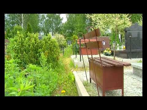 ostro-zakonczone-potki-i-awki-ustawione-na-sciezkach-znikna-z-jeleniogorskich-cmentarzy-46905