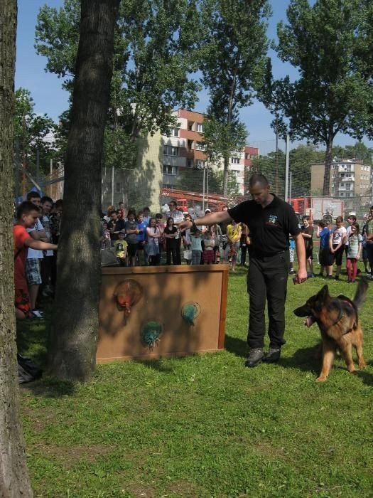 festyn-rodzinny-w-siodemce-na-szostke-foto-46923