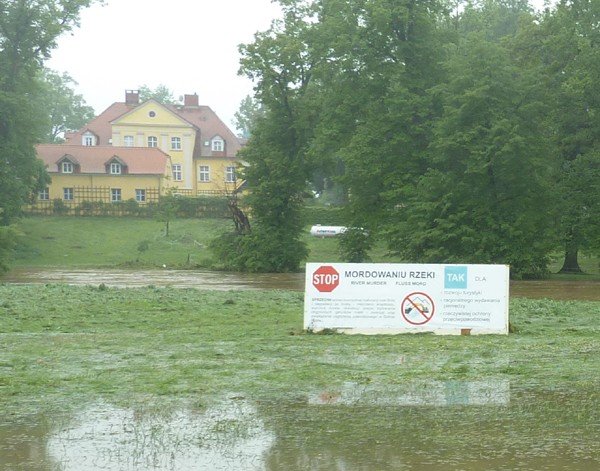 jak-skonczy-sie-spor-o-regulacje-bobru-foto-46926