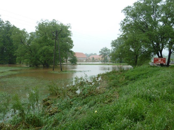 jak-skonczy-sie-spor-o-regulacje-bobru-foto-46926