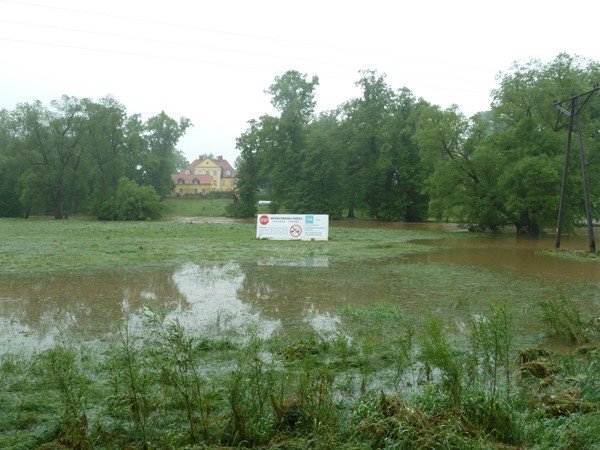 jak-skonczy-sie-spor-o-regulacje-bobru-foto-46926