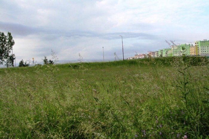 zarosniete-pobocza-zaniedbane-skwery-to-wstyd-foto-47025
