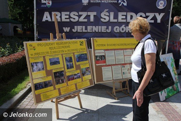 wesoo-i-edukacyjnie-na-pikniku-integracyjnym-foto-47068