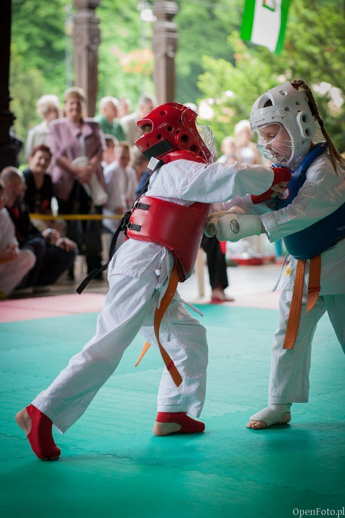 kolejny-sukces-jeleniogorskich-karatekow-foto-47073
