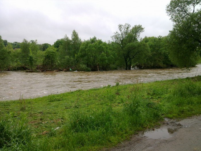 grupa-pasjonatow-chce-promenady-przy-bobrze-foto-47107