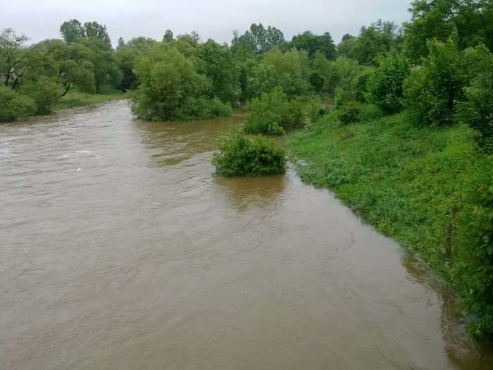 grupa-pasjonatow-chce-promenady-przy-bobrze-foto-47107