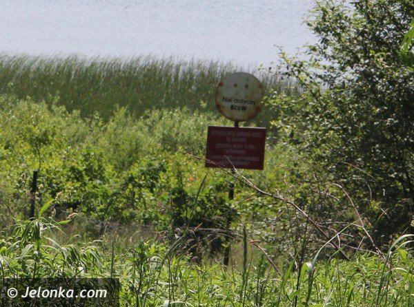 czy-i-kiedy-kapieliska-na-zalewie-w-sosnowce-foto-47151