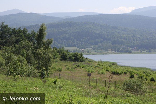 czy-i-kiedy-kapieliska-na-zalewie-w-sosnowce-foto-47151