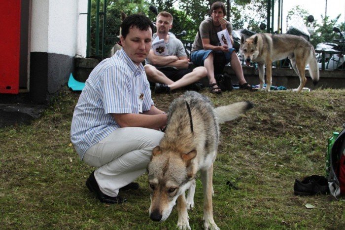 setki-psich-pieknosci-w-cieplicach-foto-47205