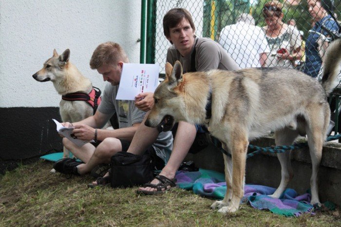 setki-psich-pieknosci-w-cieplicach-foto-47205