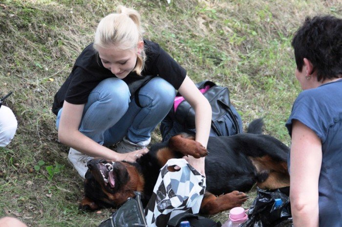 setki-psich-pieknosci-w-cieplicach-foto-47205
