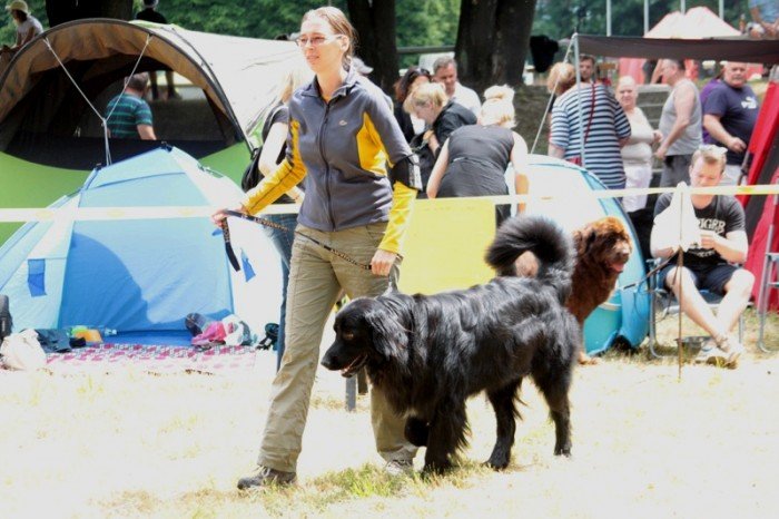 setki-psich-pieknosci-w-cieplicach-foto-47205