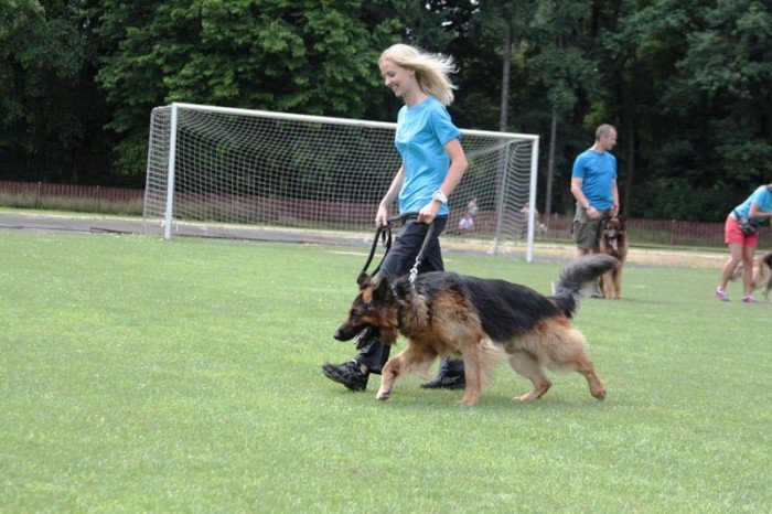 setki-psich-pieknosci-w-cieplicach-foto-47205