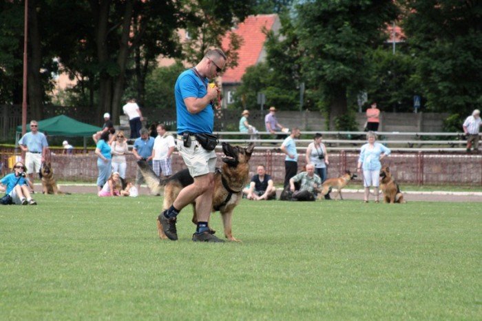 setki-psich-pieknosci-w-cieplicach-foto-47205
