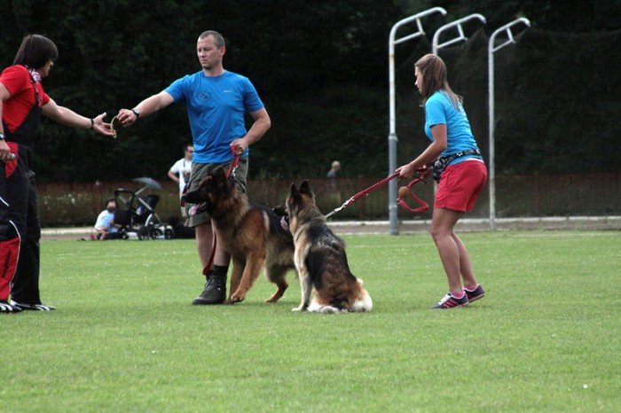 setki-psich-pieknosci-w-cieplicach-foto-47205