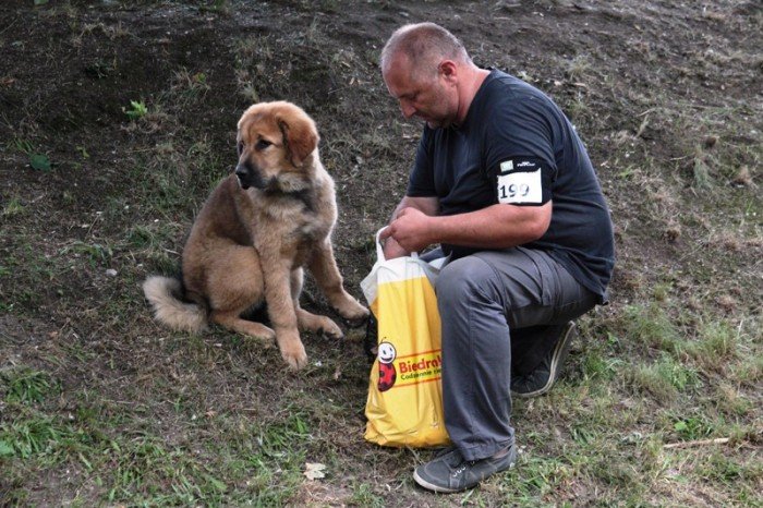 setki-psich-pieknosci-w-cieplicach-foto-47205