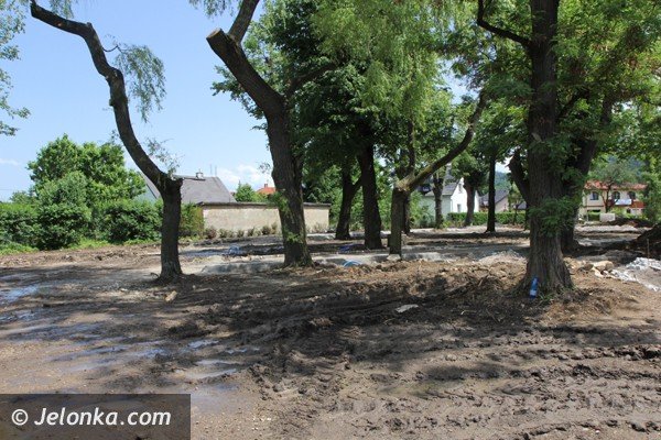 park-w-piechowicach-bedzie-pereka-miasta-foto-47206