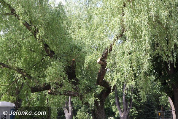 park-w-piechowicach-bedzie-pereka-miasta-foto-47206