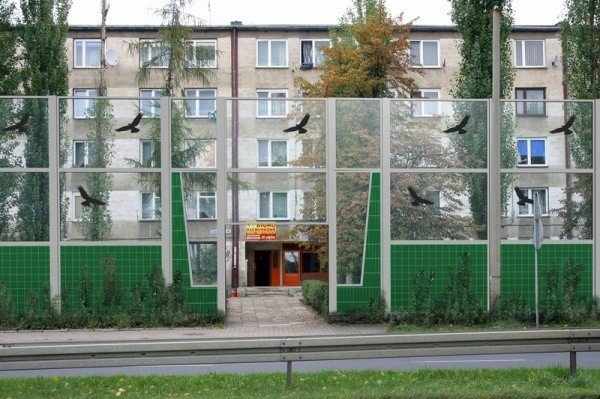 czytelniczka-ekrany-na-wincentego-pola-zabijaja-ptaki-foto-47209