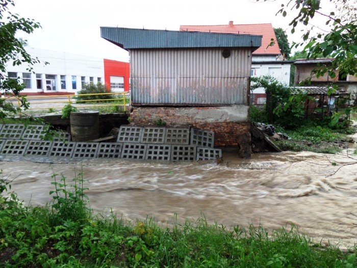 zywio-zniszczy-nieruchomosc-kto-jest-winny-foto-47213
