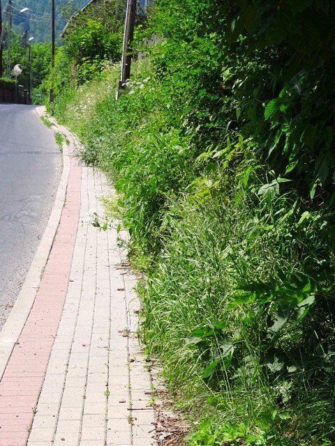 karkonoska-nie-do-uzytku-foto-47231
