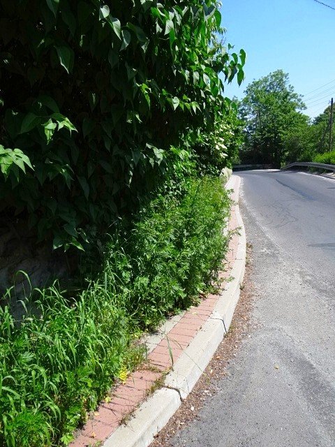 karkonoska-nie-do-uzytku-foto-47231