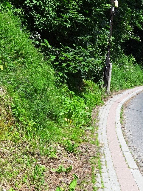 karkonoska-nie-do-uzytku-foto-47231