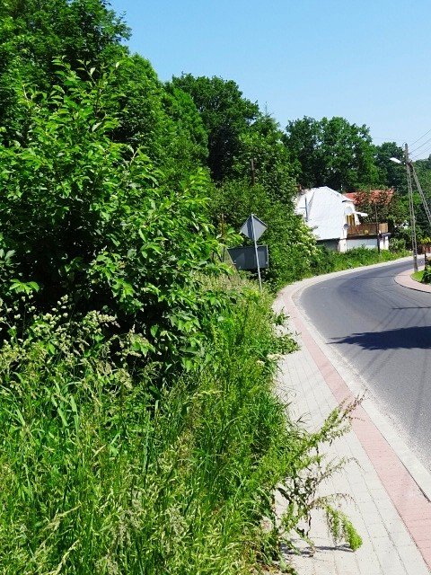 karkonoska-nie-do-uzytku-foto-47231
