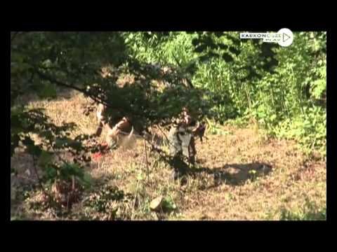 dziennik-2013-06-26-47274
