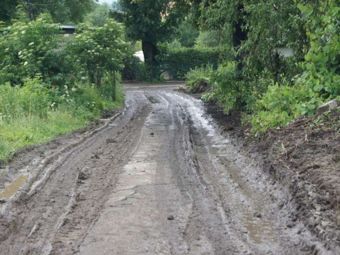 czytelnik-chodnik-to-nie-poligon-foto-47277