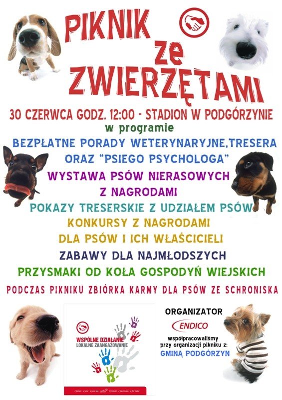piknik-ze-zwierzetami-w-podgorzynie-47280