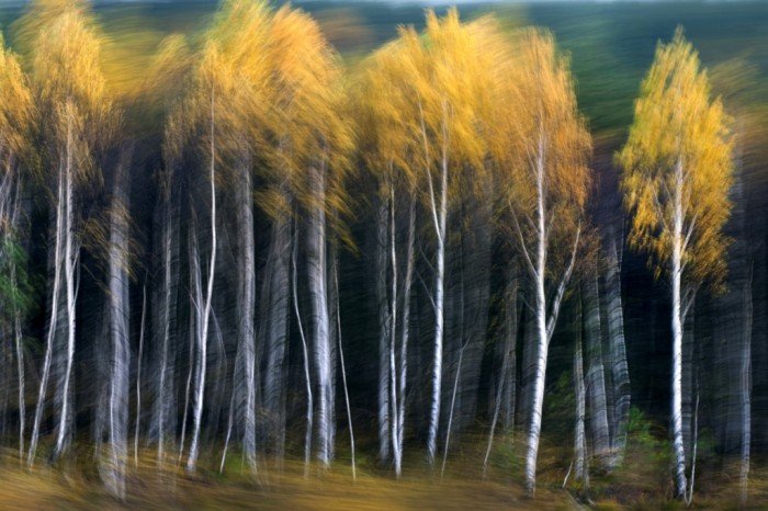 unikalne-zdjecia-dzikiej-przyrody-od-jutra-foto-47360