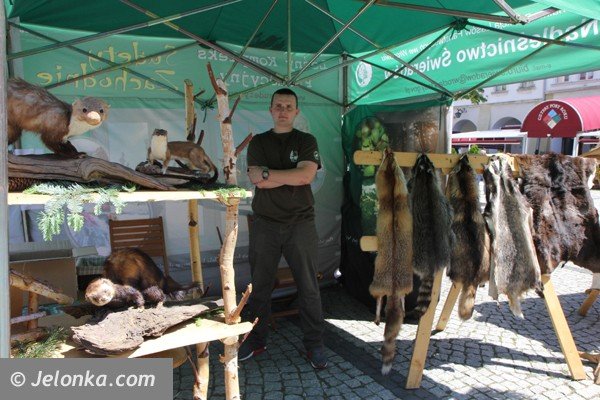 festyn-bezpieczne-wakacje-i-mnostwo-atrakcji-foto-47372