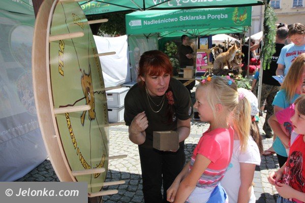 festyn-bezpieczne-wakacje-i-mnostwo-atrakcji-foto-47372