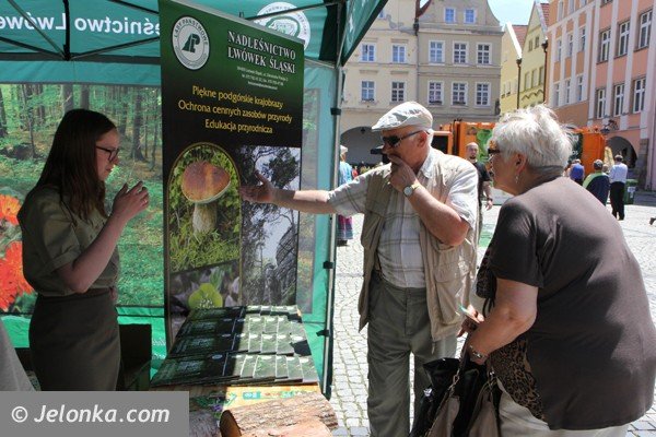 festyn-bezpieczne-wakacje-i-mnostwo-atrakcji-foto-47372