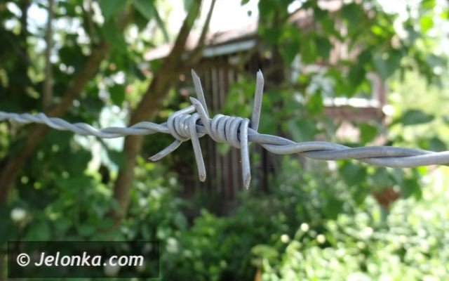 zodzieje-altankowi-nie-ma-na-nich-rady-foto-47454