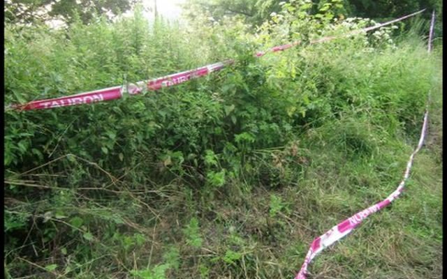 byo-po-wyscigu-sprzatanie-ale-niezbyt-dokadne-foto-47485
