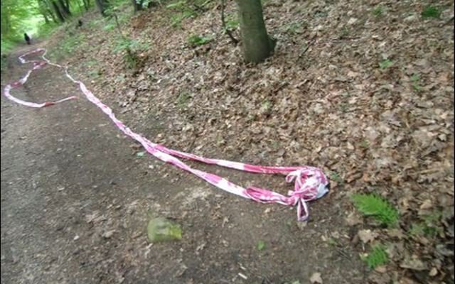 byo-po-wyscigu-sprzatanie-ale-niezbyt-dokadne-foto-47485