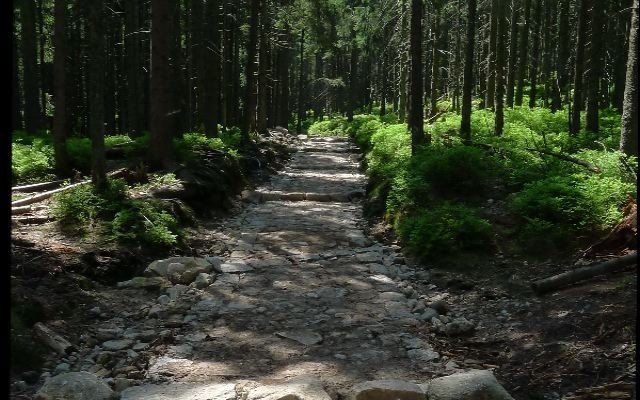 karkonoski-park-narodowy-remontuje-szlaki-turystyczne-foto-47487