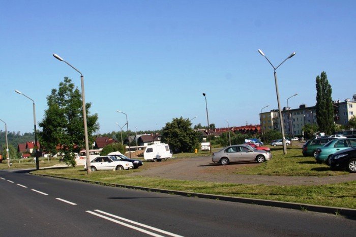 znikney-chaszcze-na-zabobrzu-foto-47568