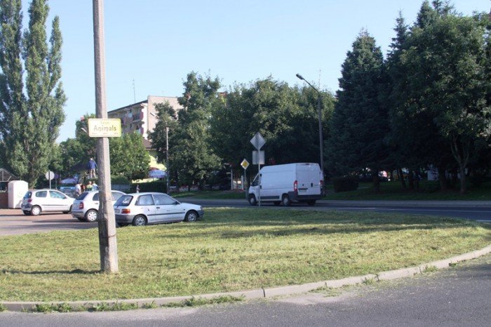znikney-chaszcze-na-zabobrzu-foto-47568