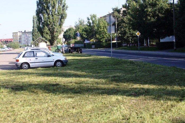 znikney-chaszcze-na-zabobrzu-foto-47568