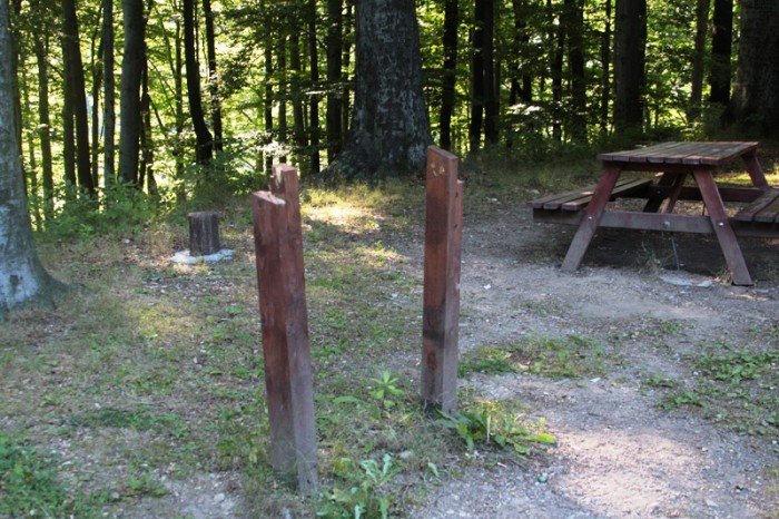 grzybek-ma-byc-chroniony-potrojnie-foto-47634