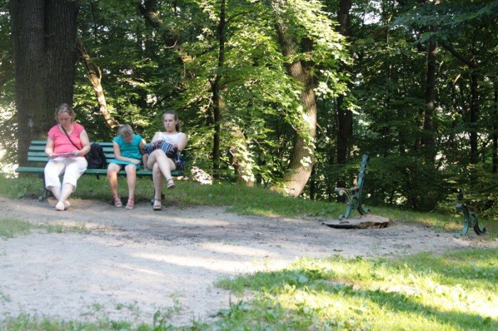 grzybek-ma-byc-chroniony-potrojnie-foto-47634